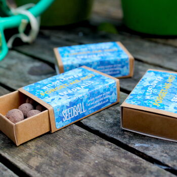 Forget Me Not Wildflower Seed Boxes, 2 of 7
