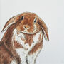 Peeking Rabbit Giclée Print, thumbnail 3 of 4