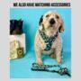 Camouflage Dog Collar And Lead, thumbnail 4 of 6