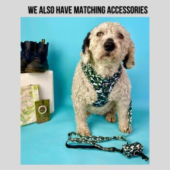 Camouflage Dog Collar And Lead, 4 of 6