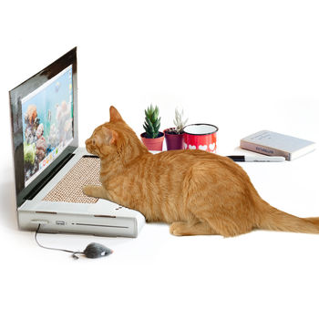 Cat Scratch Laptop, 2 of 2