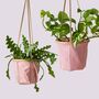 Sew Your Own: Hanging Plant Pot Patterns X2 Pots, thumbnail 2 of 4
