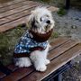 Lucy Sustainable Dog Jumper, thumbnail 3 of 10