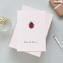 Personalised Romantic Valentines Ladybird Card, thumbnail 2 of 2