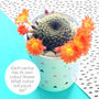 I'm So On Trend Cactus Flower Pot, thumbnail 3 of 8