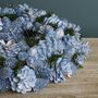 Frosted Blueberry Blooms Christmas Wreath, thumbnail 4 of 6