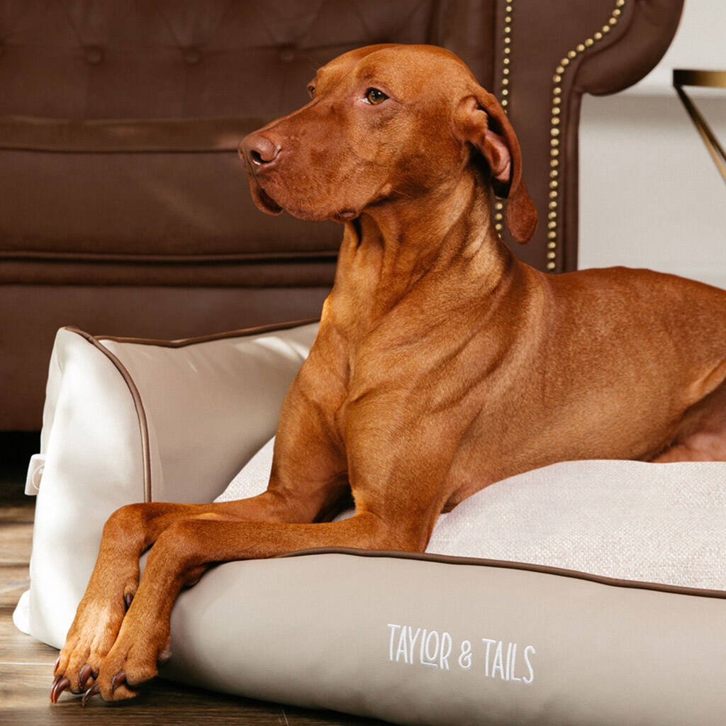 Sustainable Luxury Sofa Dog Bed Stubby, 1 of 7