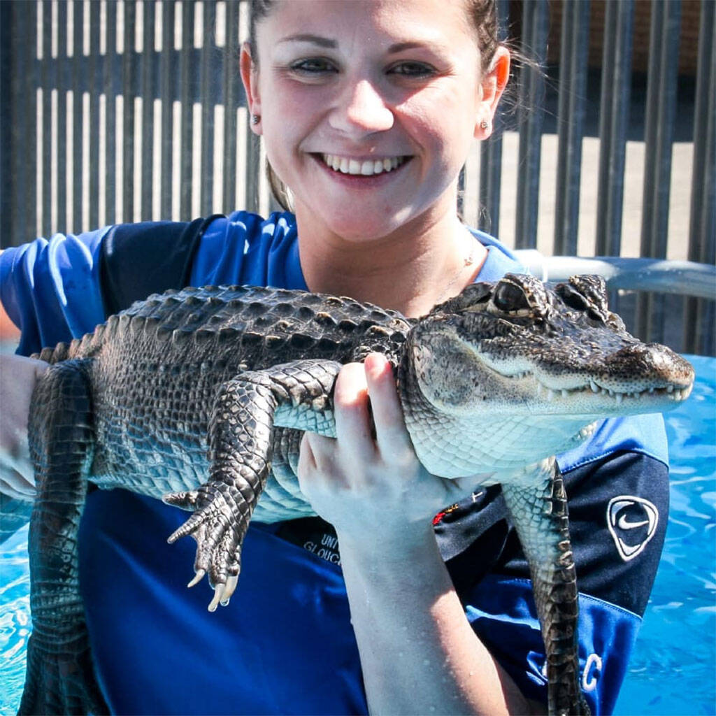 Swimming With Crocodiles Experience For Two In Bristol, 1 of 7