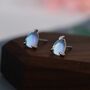 Sterling Silver Droplet Moonstone Stud Earrings, thumbnail 1 of 12