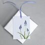 Gift Tags With Grape Hyacinth Illustrations, thumbnail 2 of 4