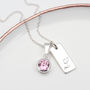 Personalised Birthstone Initial Tag Necklace, thumbnail 1 of 6