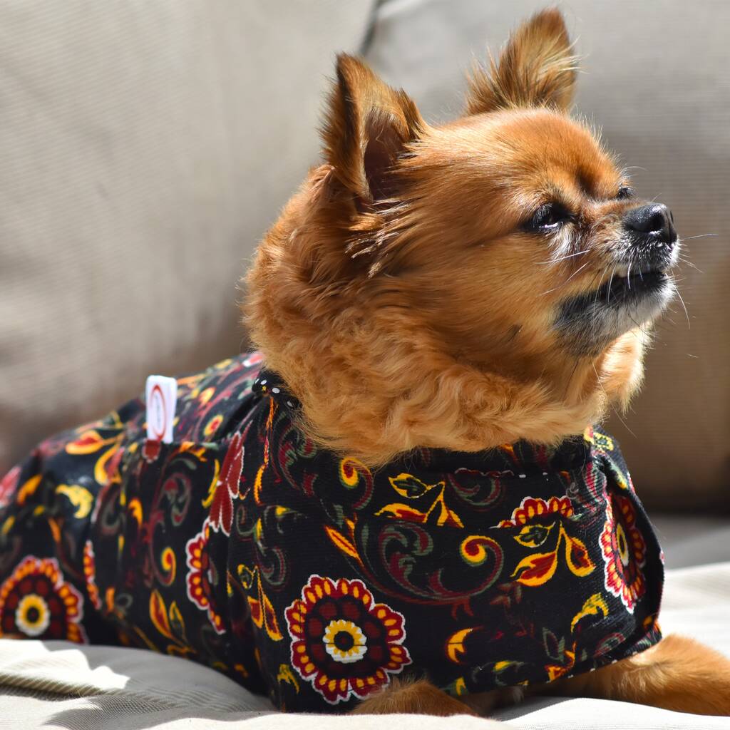 Dog Coat Luxury Designer By Petsuku