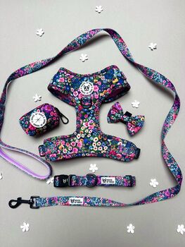 Candy Floral Padded Dog Lead Dog Leash, 5 of 9