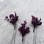 Dried Flower Hair Pins, thumbnail 3 of 6