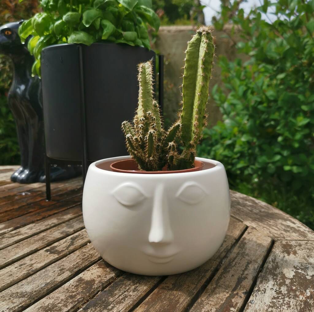  Ceramic  Face Plant  Pot  By Posh Totty Designs Interiors 