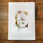 C Is For Cosmos Illuminated Botanical Print, thumbnail 2 of 6