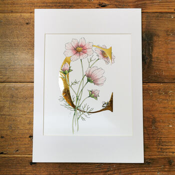 C Is For Cosmos Illuminated Botanical Print, 2 of 6