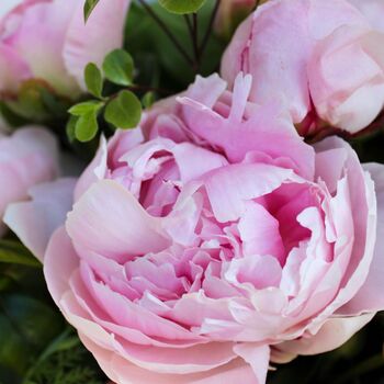 Peony Love Hand Tied Fresh Flower Bouquet, 2 of 5