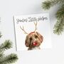 Personalised Pet 'Reindeer Antlers' Christmas Card, thumbnail 1 of 9