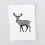 Red Stag Gift Wrap Pack With Card Option, thumbnail 5 of 6