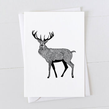 Red Stag Gift Wrap Pack With Card Option, 5 of 6