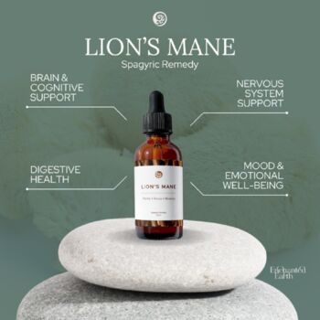 Super Concentrated Lion's Mane Extract / Tincture, 2 of 2