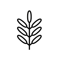 The Terracotta Herbs Company