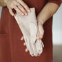 Butterfly Brocade Suede Stretchy Fabric Gloves, thumbnail 7 of 12