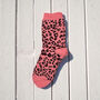 Pink Leopard Print Socks, thumbnail 1 of 2