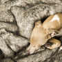 Charley Chau Faux Fur Pet Blanket In Wolf Grey, thumbnail 4 of 5
