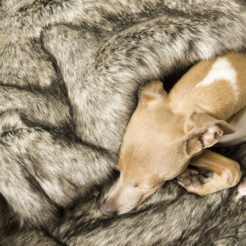 Charley Chau Faux Fur Pet Blanket In Wolf Grey, 4 of 5