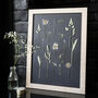 Daisy Haze Botanical Wall Art – A3 Pressed Flower Frame In Sand, thumbnail 1 of 7