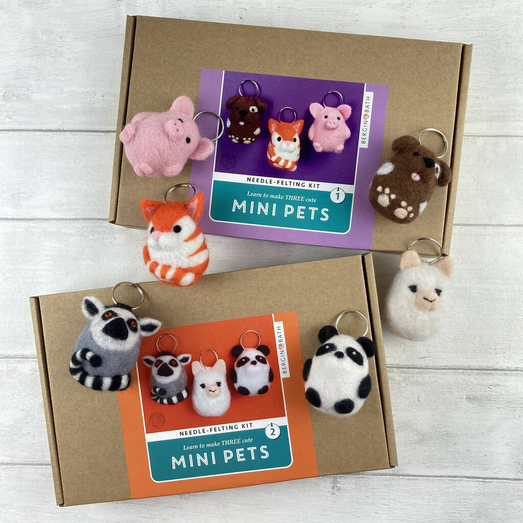 Needle Felting Kit, Mini Pets. Cat, Pig And Dog By Bergin & Bath