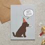 Chocolate Cockapoo / Labradoodle Organic Cotton Tea Towel, thumbnail 9 of 12