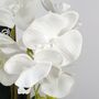 60cm Artificial Orchid With Ceramic Planter, thumbnail 4 of 4