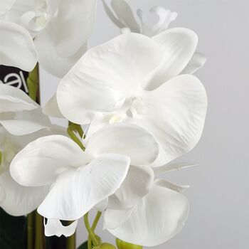 60cm Artificial Orchid With Ceramic Planter, 4 of 4