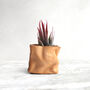 Personalised Mini Leather Paper Bag Planter With Custom Message And Artificial Aloe Vera, thumbnail 2 of 7