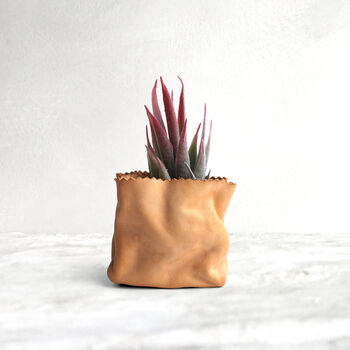 Personalised Mini Leather Paper Bag Planter With Custom Message And Artificial Aloe Vera, 2 of 7