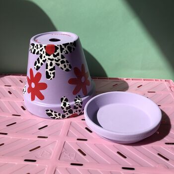 Daisy Print Hand Painted Flower Pot, 5 of 6