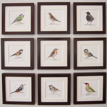 Limited Edition, Garden Bird Print, Sparrow, 3 of 3