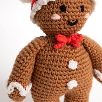 Gingerbread Man Crochet Kit, 5 of 12