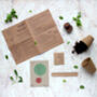 Grow Your Own Basil Eco Friendly Seed Kit, thumbnail 4 of 7