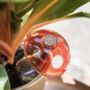 Plant Watering Glass Mushroom, thumbnail 3 of 5
