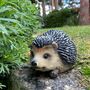 Mr Pricklepants Hedgehog Hoglet Garden Ornament, thumbnail 2 of 6