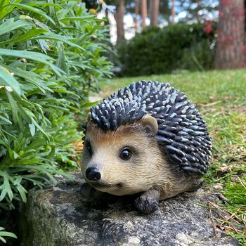 Mr Pricklepants Hedgehog Hoglet Garden Ornament, 2 of 6