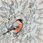 'Bullfinch' Print, thumbnail 3 of 3