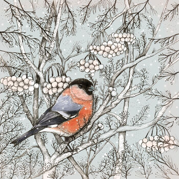 'Bullfinch' Print, 3 of 3