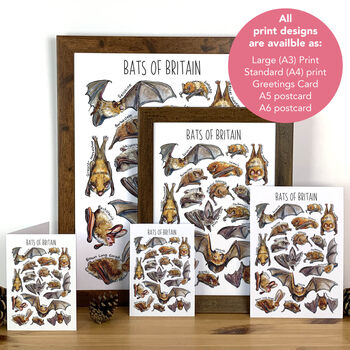 Bats Of Britain Watercolour Postcard, 5 of 8