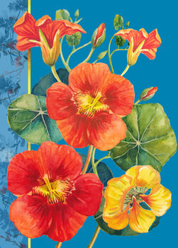 Summer Nasturtiums All Occasions Blank Card, 2 of 3