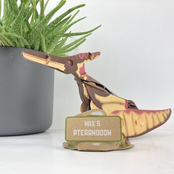 Build Your Own Personalised Pteranodon, 10 of 10